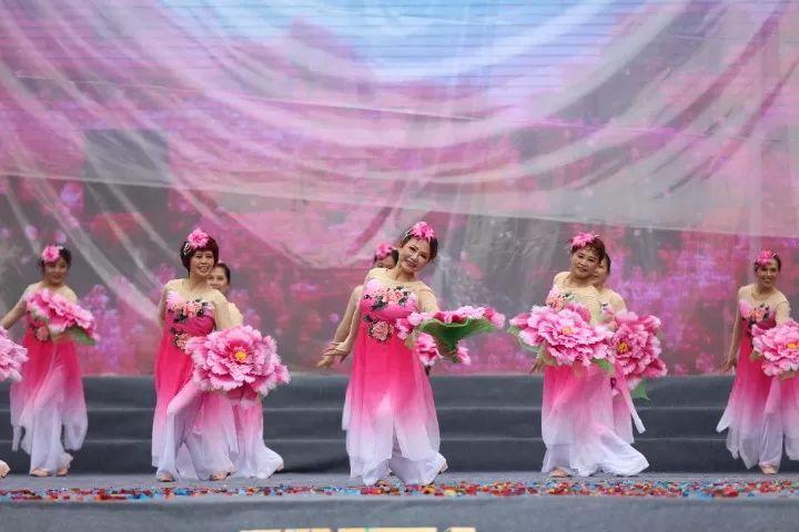虫虫助手下载