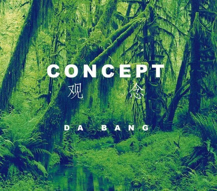 救援小巨鳄