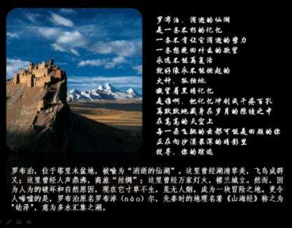 泡泡趴